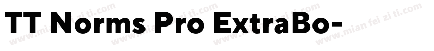 TT Norms Pro ExtraBo字体转换